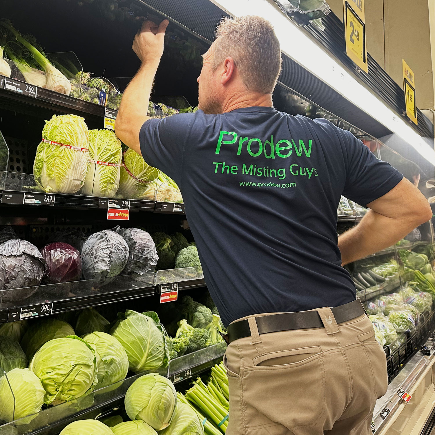 Prodew Misting Guys install and service