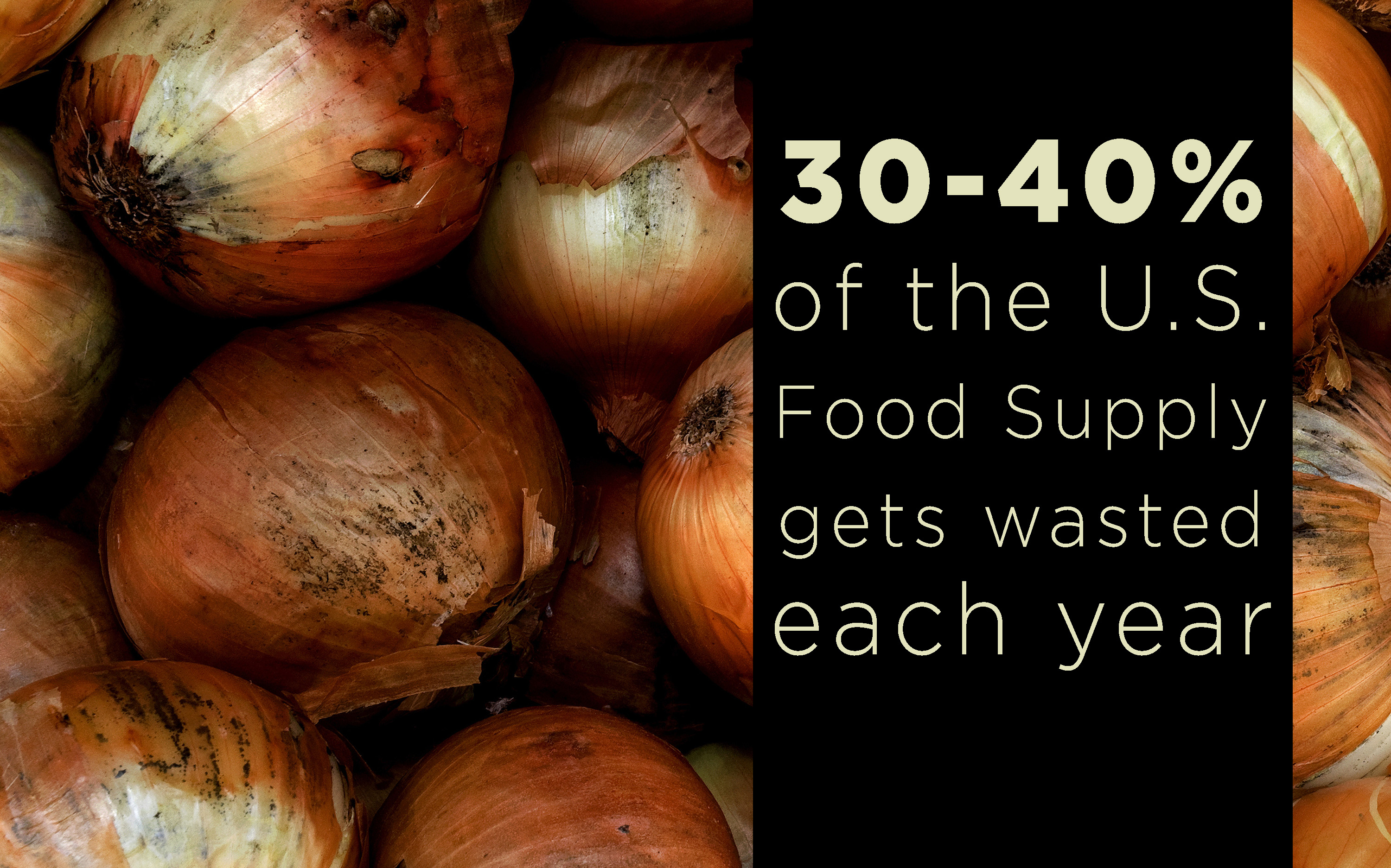 Graphic showing 30%–40% of the U.S. food supply gets wasted each year.