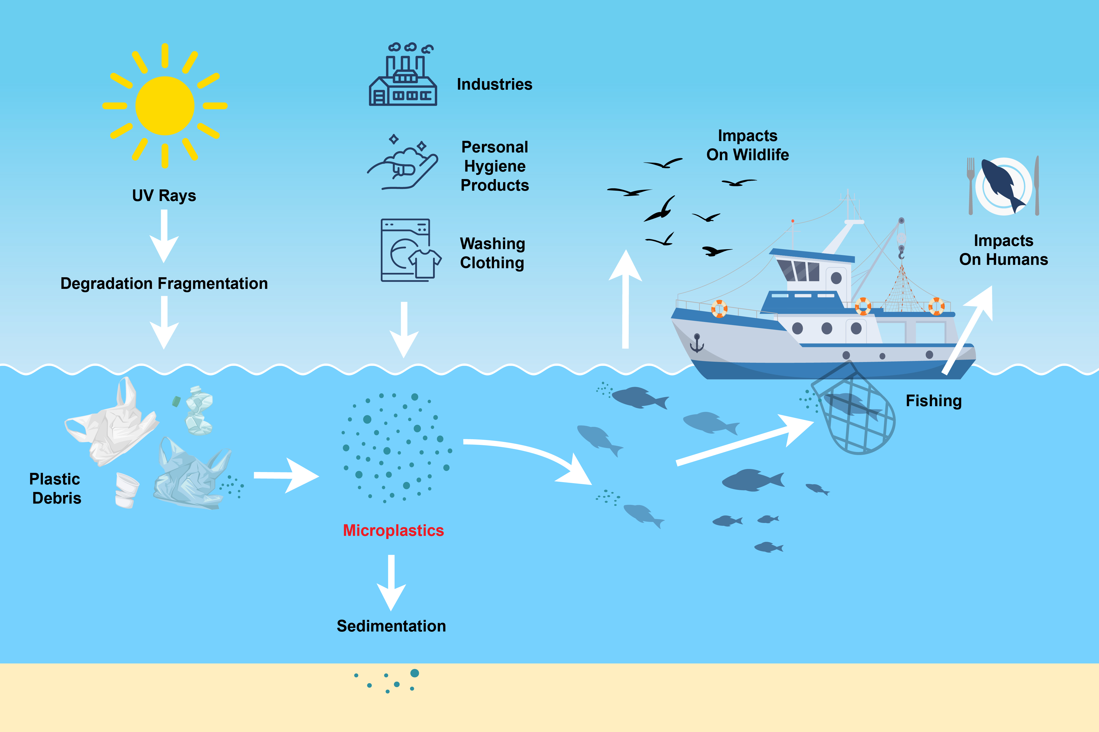 the introduction of microplastics from pollution into fish and seafood