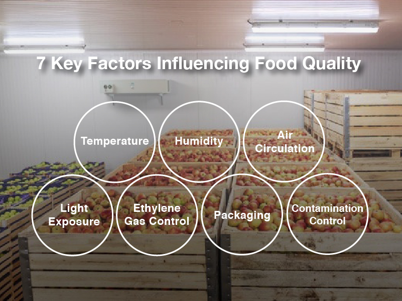 7 Factors Influencing Food Quality