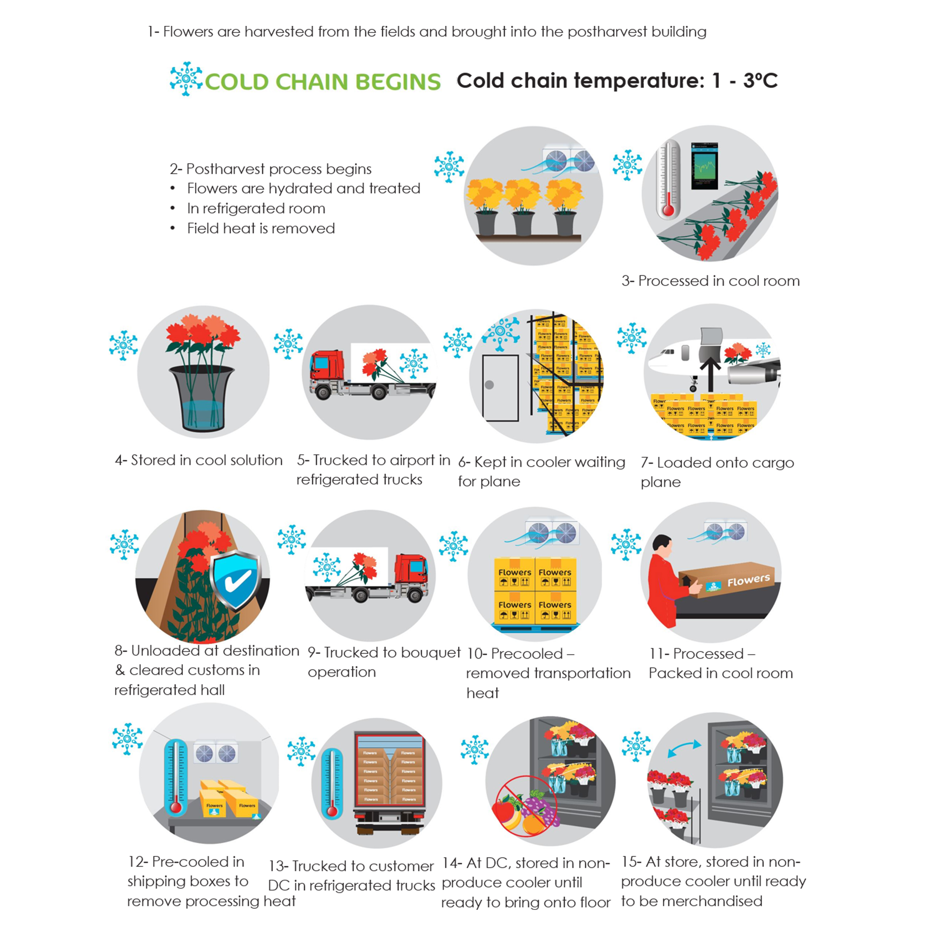 Floral refrigeration chain from farm to retail