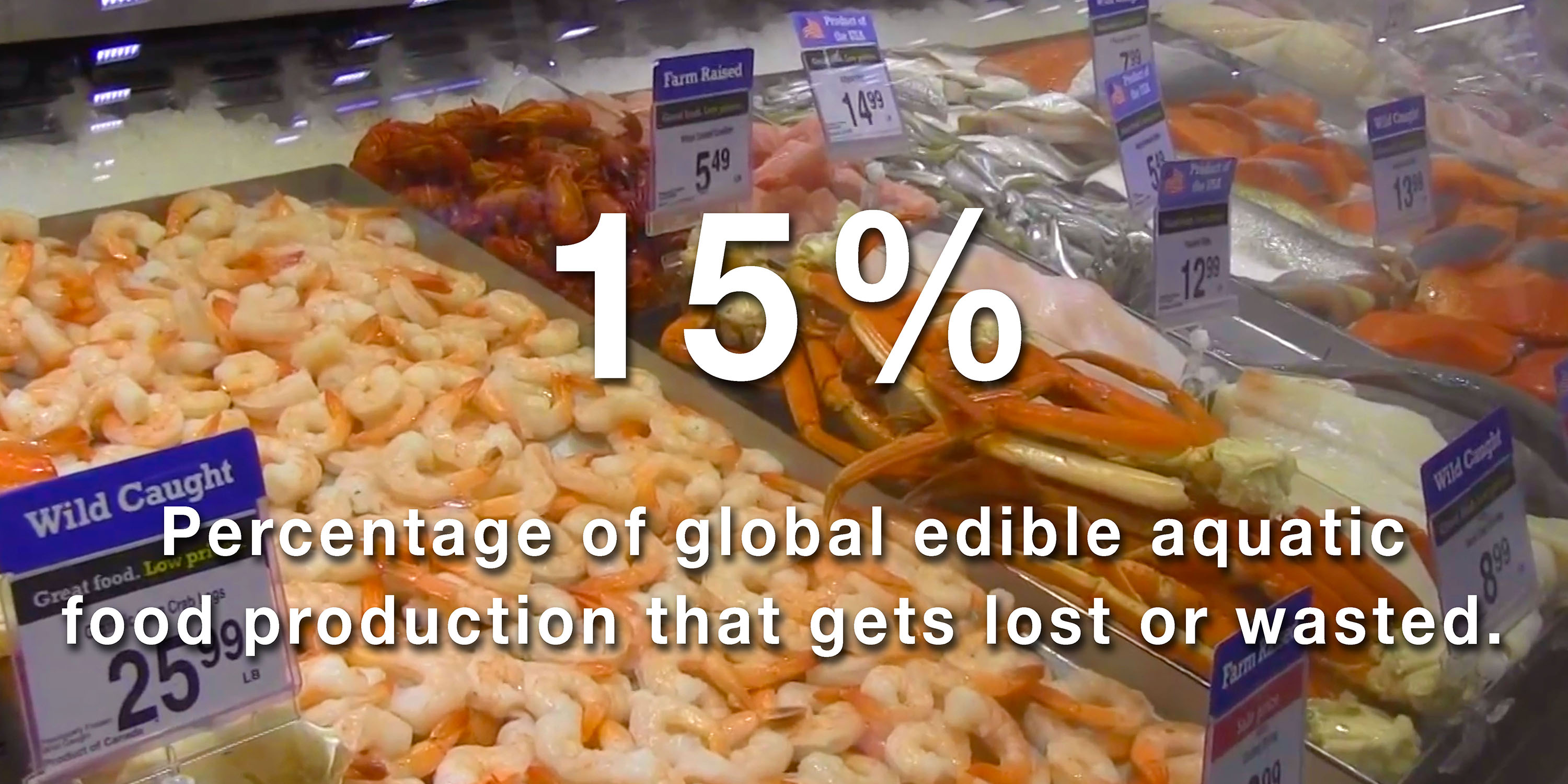15%: Percentage of global edible aquatic food production that gets lost or wasted