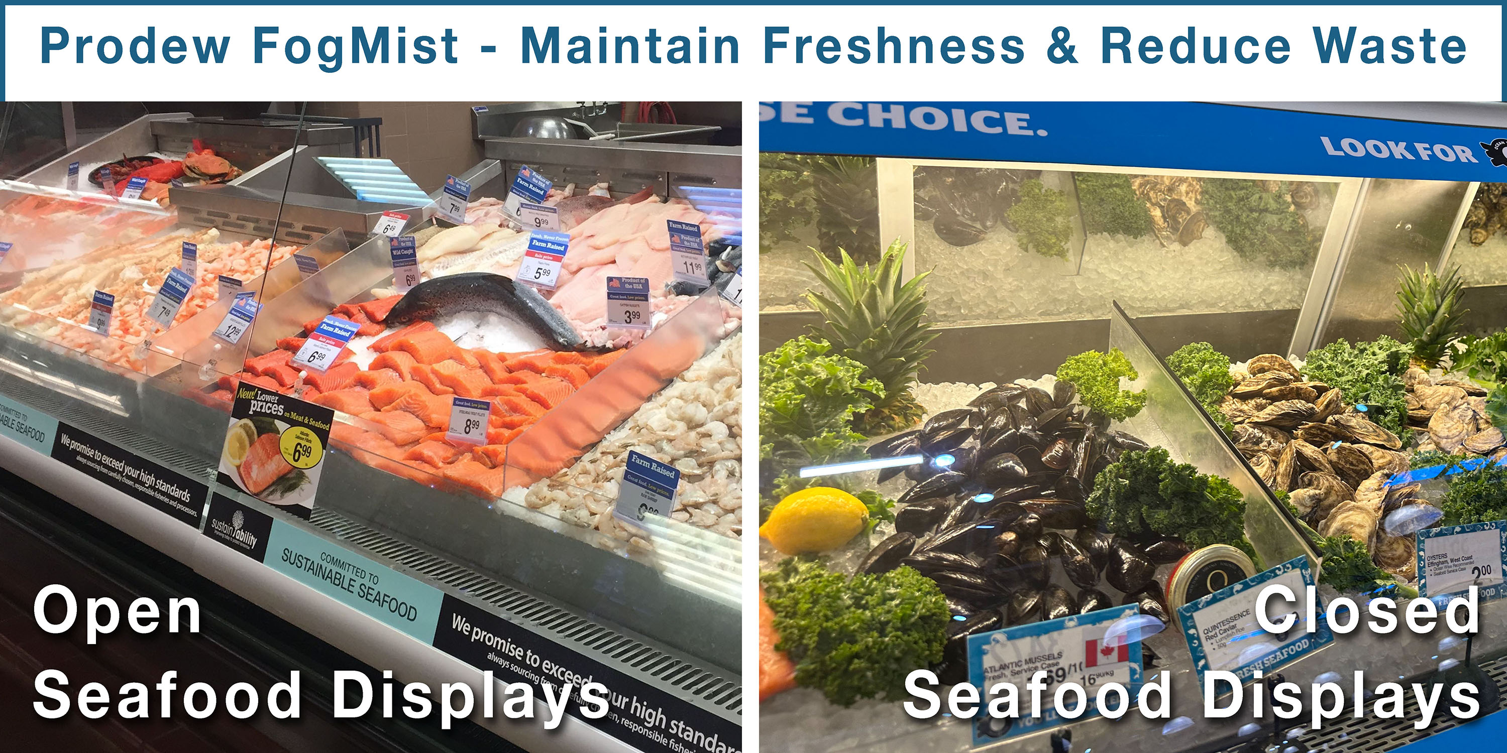 Prodew FogMist for open and closed seafood displays