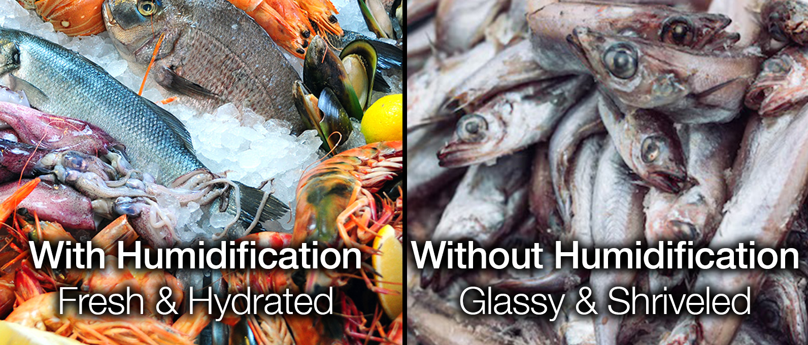 Humidificaiton to maintain fresh seafood.