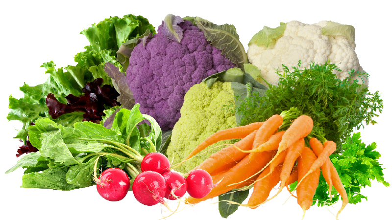 fresh veggies with proper humidity