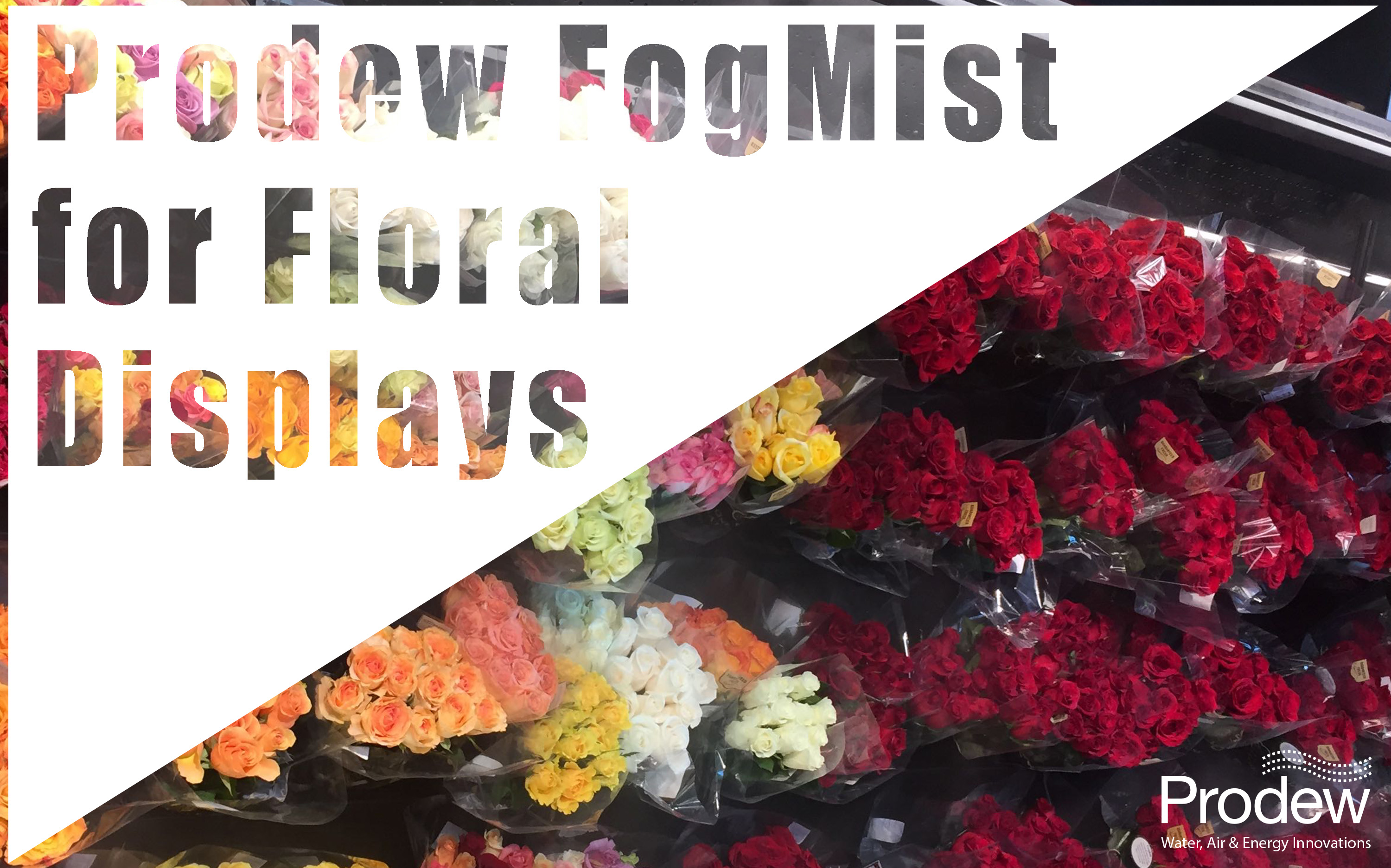 Prodew FogMist can help maintain your floral displays.
